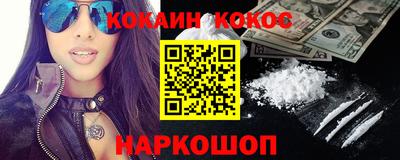 гашик Моздок