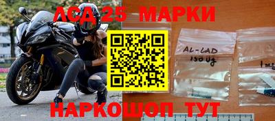 гашик Моздок