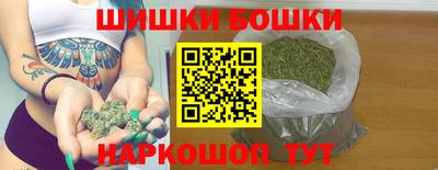 гашик Моздок