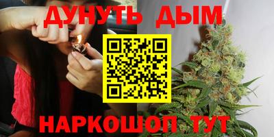 гашик Моздок