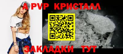 гашик Моздок