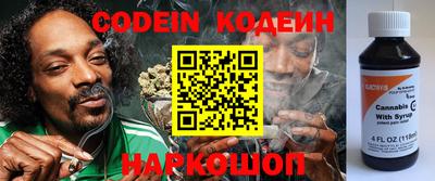 гашик Моздок