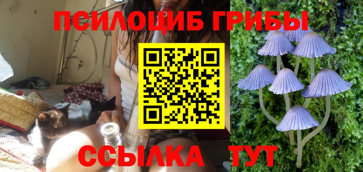 что такое наркотик  Вход с VPN  Галлюциногенные грибы мицелий  Туймазы  Псилоцибиновые грибы Magic Shrooms 